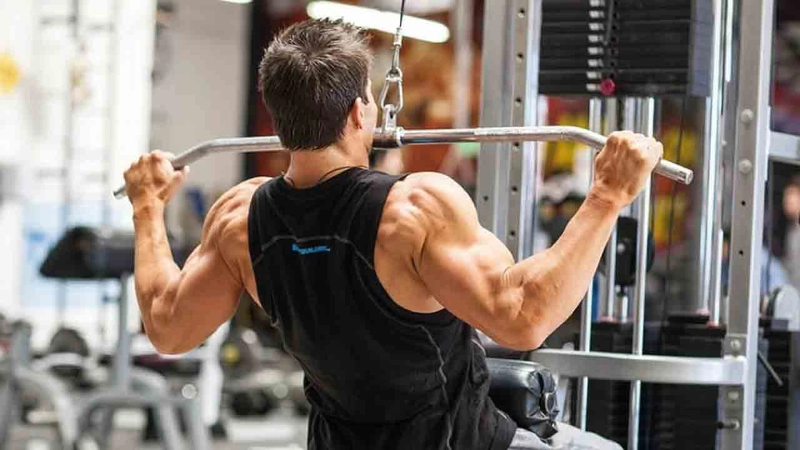 Lat PullDown thích hợp cho người mới tập Gym.