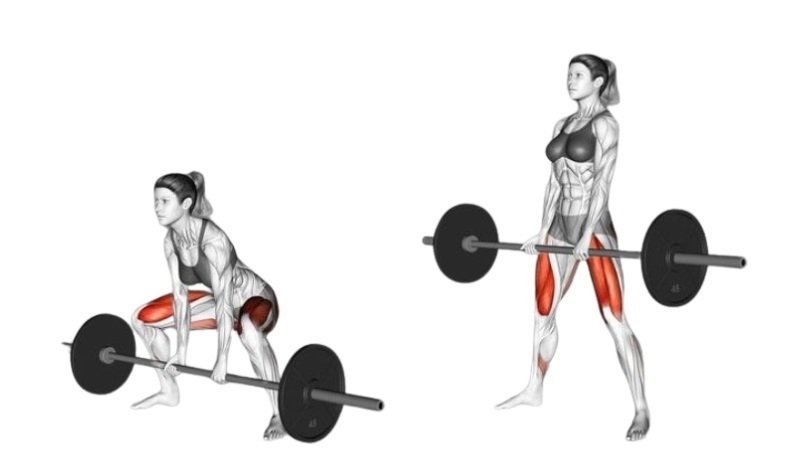 Bài tập Deadlift
