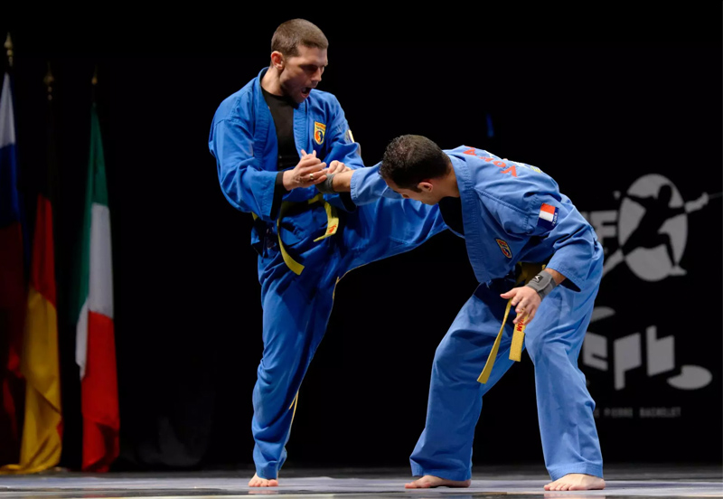 môn võ vovinam