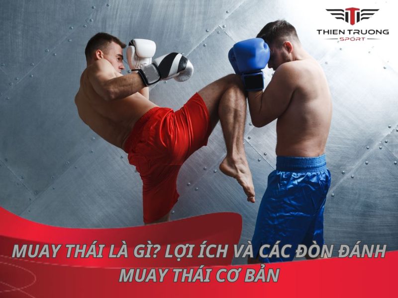 nen tap boxing hay muay thai