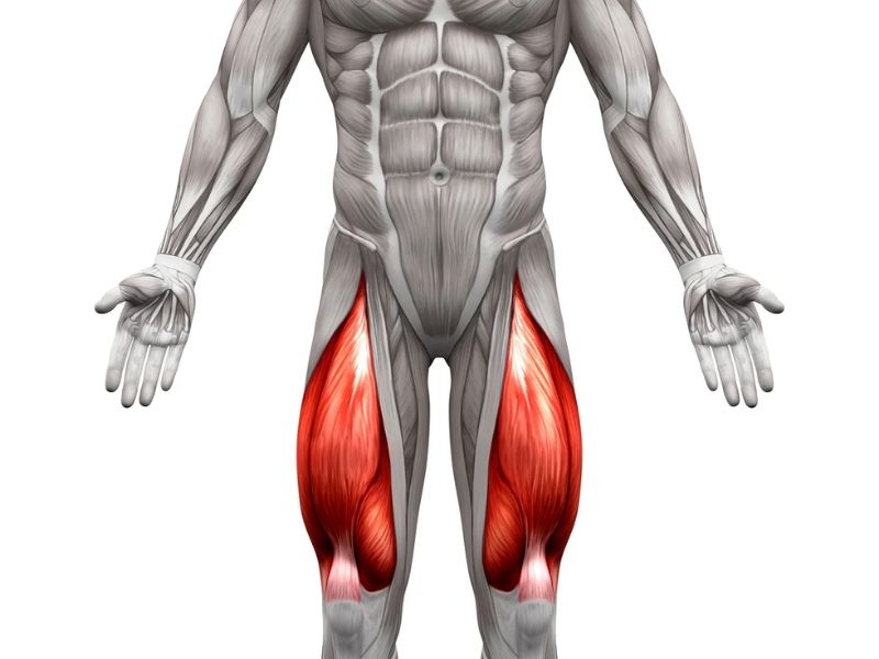 nhóm cơ được sử dụng khi chơi bóng rổ