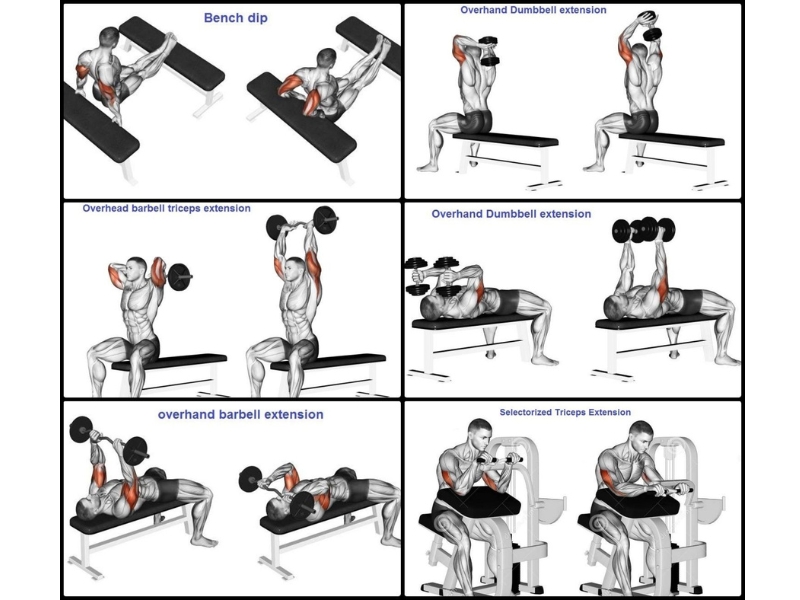 Kết hợp luyện tập các nhóm cơ đối kháng