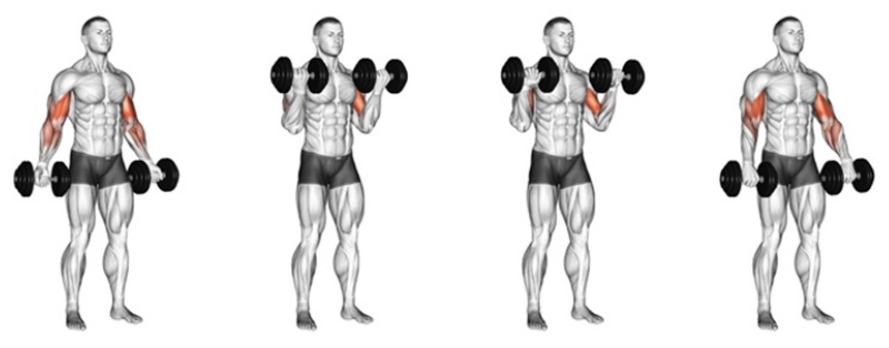 Bài tập Lưng + Tay trước