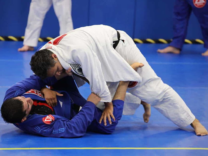 Nhu thuật BJJ là gì? môn võ chiến đấu bắt nguồn từ Brazil