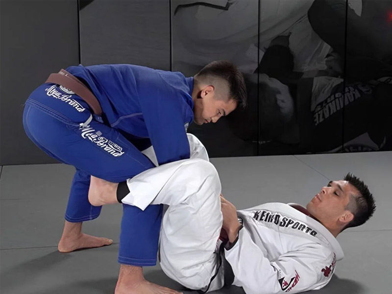 Nhu thuật BJJ bao gồm nhiều phong cách chiến đấu khác nhau