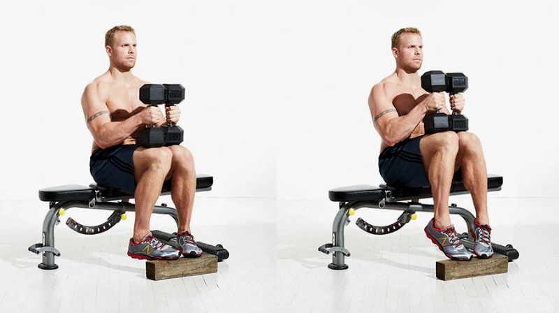 Seated Calf Raise