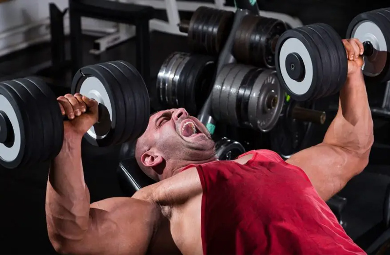 Tập Dumbbell Bench Press
