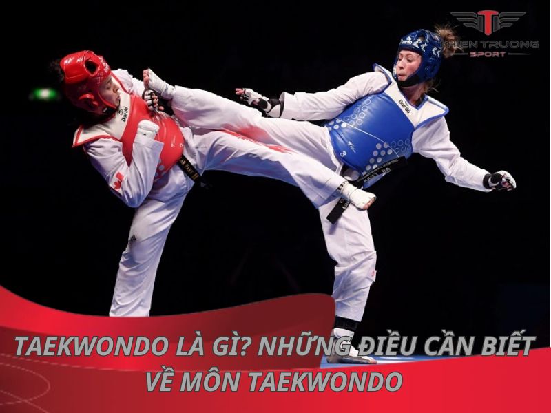 taekwondo la gi