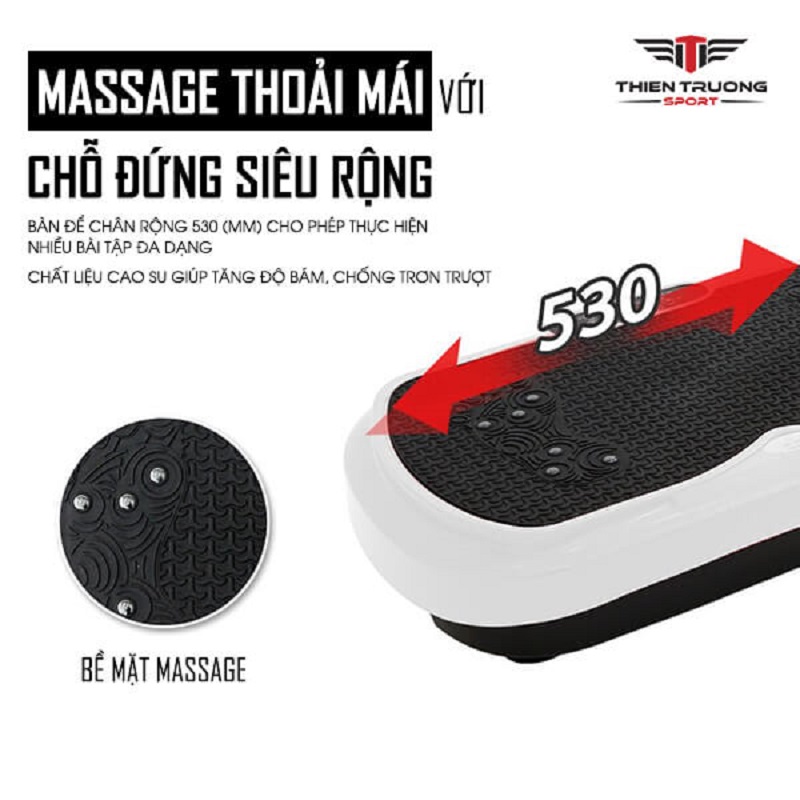 máy rung toàn thân TS-21927