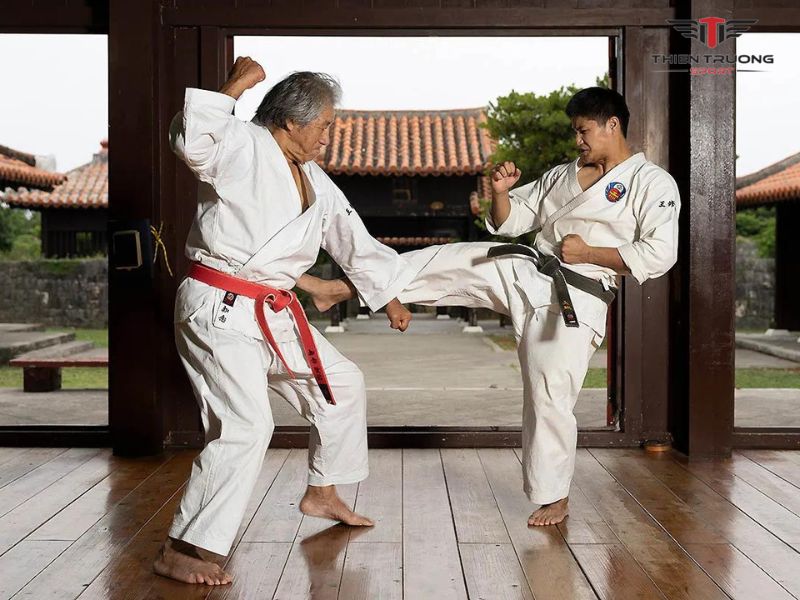 Lợi ích của tập luyện võ thuật