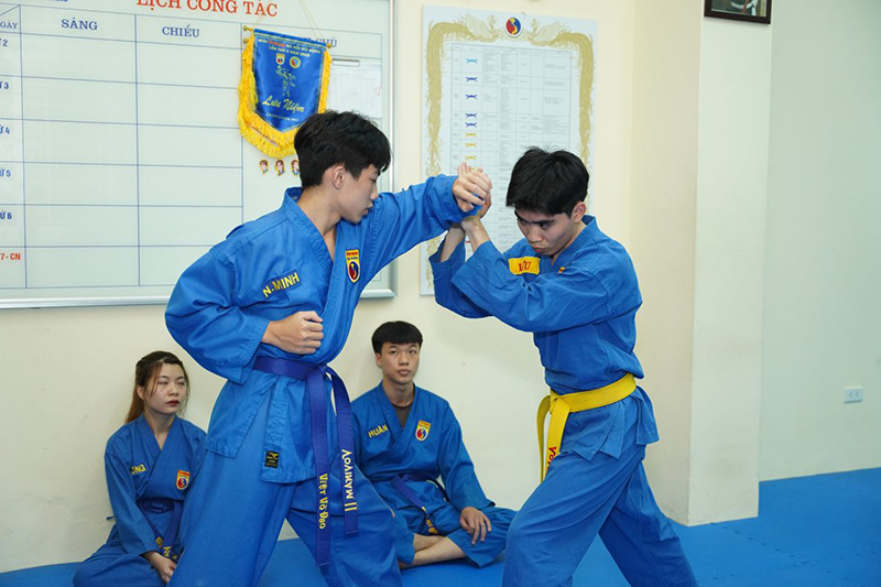 Tập luyện môn võ Vovinam