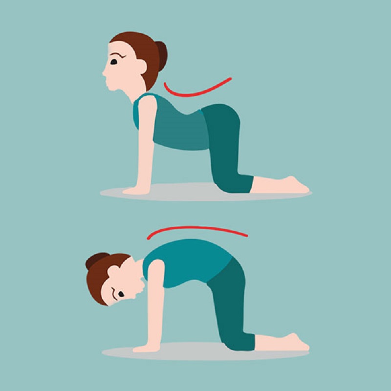 Tư thế yoga cơ bản