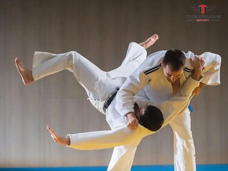 Kỹ thuật ném trong võ Jujitsu