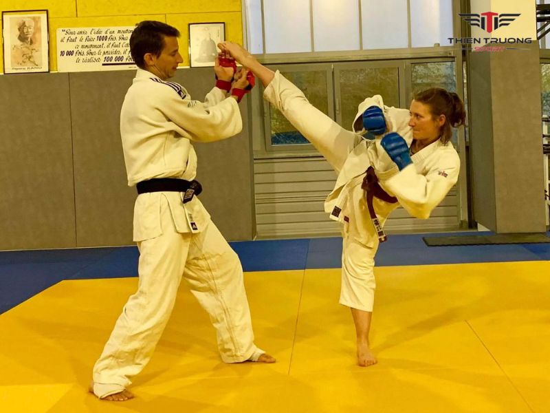 Kỹ thuật đánh môn võ Jujitsu