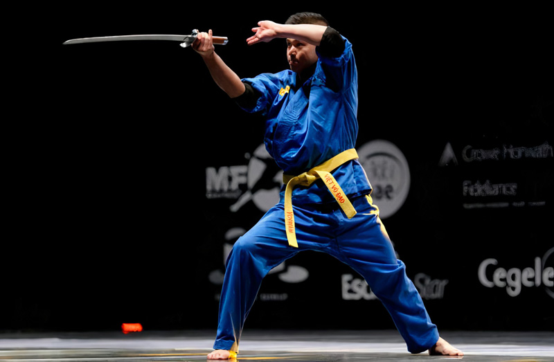 Vovinam là gì?
