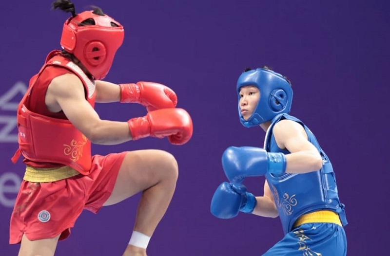 Võ wushu Sanda