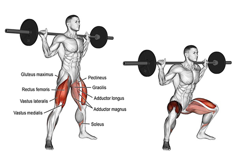Wide Stance Barbell Squat