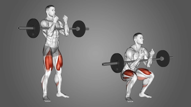 Bài tập Zercher Squat